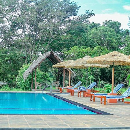 Sigiriya Peacock Homestay Luaran gambar