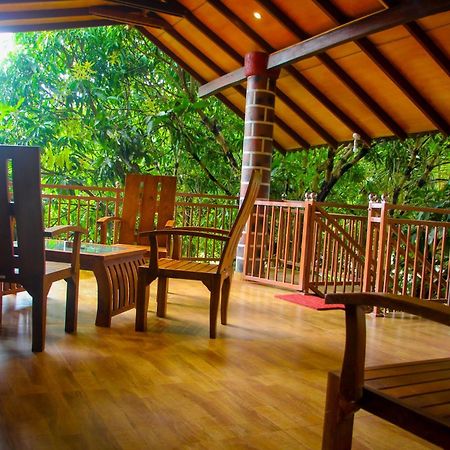 Sigiriya Peacock Homestay Luaran gambar